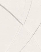 'Morning Star' Ltd Ed Canvas Print